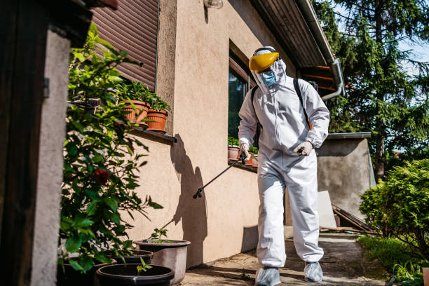 Wasp Removal Services in Westfield, PA