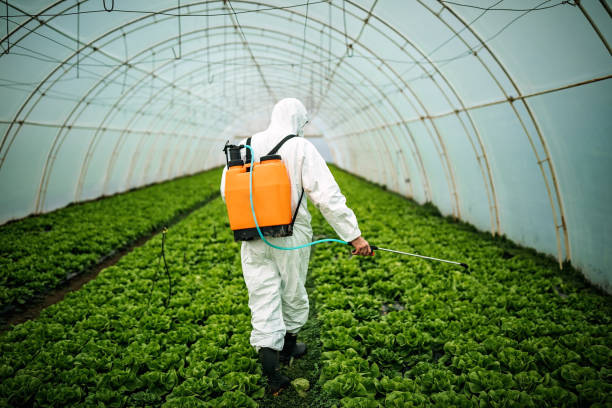 Pest Control for Restaurants in Westfield, PA